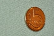 Pozlacená pětikoruna - lépe se pozoruje pod el.mikroskopem
